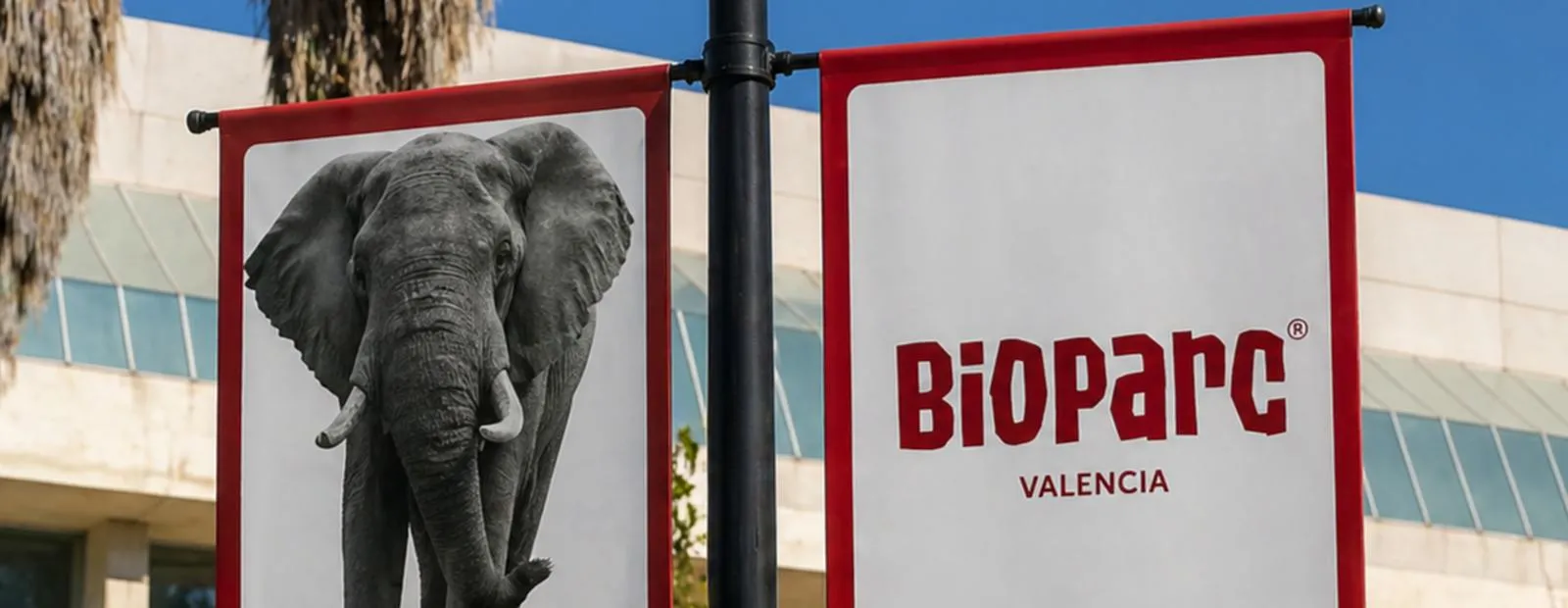 Dos banderolas de Bioparc València instaladas en una farola