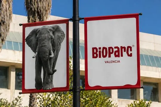 Dos banderolas de Bioparc València instaladas en una farola